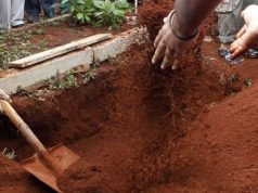 MWILI WAFUKULIWA, WAVULIWA SARE ZA KAZI