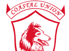KIKOSI CHA MAANGAMIZI KWA KLABU YA COASTAL UNION MSIMU WA 2019/20 KIBA OUT