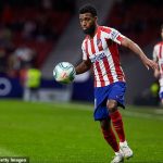 WOLVES WAMTAKA MMOJA KUTOKA ATLETICO MADRID