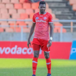 NYONI AWAOMBA WATANZANIA KUCHUKUA TAHADHARI DHIDI YA CORONA