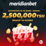 CHEZA BUREE NA USHINDE KUPITIA CASINO ZA MERIDIANBET….