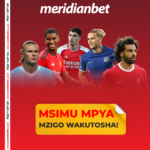 ANZA KULAMBA BINGO ZA MAMILIONI YA EPL LEO ….MERIDIANBET WANAKUPA ODDS ZA KUSHIBA…