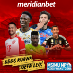 USIKU WA ULAYA LEO UMETULIA NA ODDS ZENYE UHAKIKA WA MKWANJA KUTOKA MERIDIANBET..