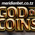 SHINDA MPAKA MARA 1000 YA DAU LAKO KUPITIA SLOT YA KIJANJA YA GOD OF COINS …