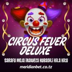 SHIKA MSHIKO WA CHAP CHAP LEO HII KWA SLOT YA CIRCUS FEVER NDANI YA MERIDIANBET..