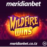 FAHAMU MAMBO HAYA KABLA YA KUANZA KUCHEZA WILDFIRE WINS KASINO