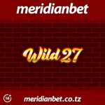 WILD 27 KASINO YENYE MAAJABU KIBAO