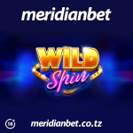 ITUMIE SLOT YA WILD SPIN KULAINISHA UGUMU WA JANUARI KUPITIA MERIDIANBET CASINO…
