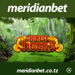 SASA NI RAHISI ZAIDI KUSHINDA KUPITIA SLOT YA CHINESE TIGERS NDANI YA MERIDIANBET CASINO..