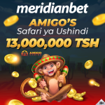 KUNA HIZI MIL 13 ZA MERIDIANBET ZINATOKA KILAINIII KUPITIA KASINO YA AMIGO…