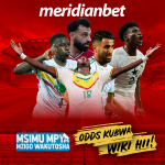 HELA IPO HUKU KWA MABINGWA WA UBASHIRI TZ MERIDIANBET…