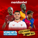 WIKI YA MAOKOTO YA KUNYAKUA MKWANJA NDANI YA MERIDIANBET…