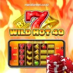 HIZI NI NJIA ZA KUSHINDA MAMILIONI YA KASINO, ANZA NA MCHEZO WILD HOT 40….