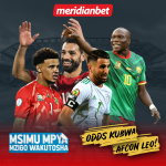 ANZA WIKENDI YAKO KWA KUBASHIRI NA MERIDIANBET….