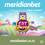 KUTANA NA PAKA ANAYELIPA PESA NYINGI….NDANI YA MERIDIANBET CASINO…