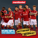 MAPINDUZI YA NUNO ESPIRITO SANTO NDANI YA NOTTINGHAM FOREST…