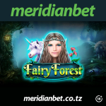 FAIRY FOREST SLOTI YA MSITU WA WACHAWI WENYE PESA SHINDA UKIFANYA HAYA!….