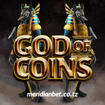 SLOTI YA GOD OF COINS USHINDI KILA HATUA MERIDIANBET KASINO…