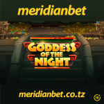 GODDESS OF THE NIGHT USIKU WA MAAJABU MENGI!!….