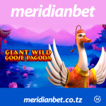 GIANT WILD GOOSE PAGODA NI SLOTI BORA YA KASINO……