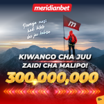 MAXIMUM PAYOUT YA MOTO SANA NA MERIDIANBET….