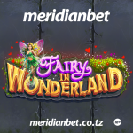 NJIA RAHISI YA KUPIGA PESA NA SLOTI YA FAIRY IN WONDERLAND…..