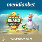 ULIMWENGU WA USHINDI NA MERIDIANBET KASINO| 9 ENCHANTED BEANS….