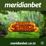 UMEWAHI KUUCHEZA MCHEZO HUU WA KASINO| CHINESE TIGER?…