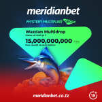 ZAIDI YA BILIONI 1 KUWANIWA KWENYE MASHINDNAO YA MYSTERY MULTIPLIER DROP