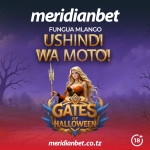 CHEZA GATES OF HALLOWEEN, NI ZAMU YAKO KUKUPA USHINDI WA KIPEKEE…