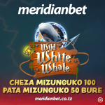MAFANIKIO HAYAHITAJI BAHATI UKICHEZA WILD WHITE WHALE YA MERIDIANBET…