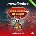 MERIDIAN PANDA DELUXE YAJA KIBABE NA MSISIMKO
