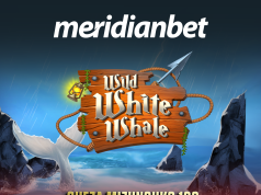 SHINDA MIZUNGUKO BURE KILA SIKU NA WILD WHITE WHALE