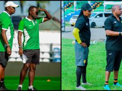 NI VITA YA CHIPO, MAXIME LIGI KUU BARA