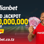 500Tshs KUWA TIKETI KUINGIA MEZA YA MABILIONEA