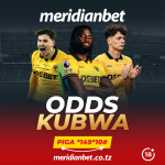 JE WOLVES MSIMU HUU ATASHUKA DARAJA?