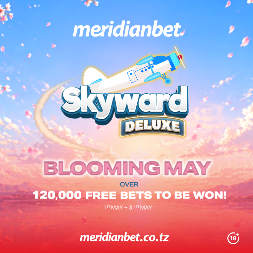 VIJANA WAMEHAMIA SKYWARD DELUXE KUUSAKA USHINDI