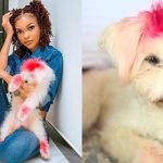 SIMANZI MBWA WA WEMA SEPETU MANUNU AMEKUFA AACHA GUMZO MITANDAONI