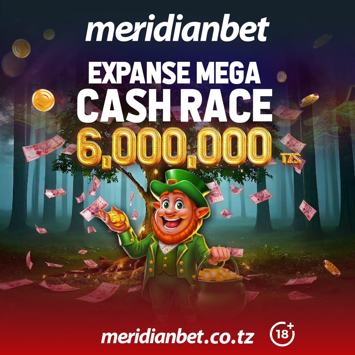 Expanse Mega Cash Race