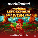 Meridian Leprechaun Wish