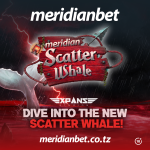 Meridian Scatter Whale