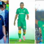 Peter Shalulile Yanga