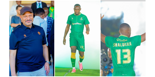 Peter Shalulile Yanga