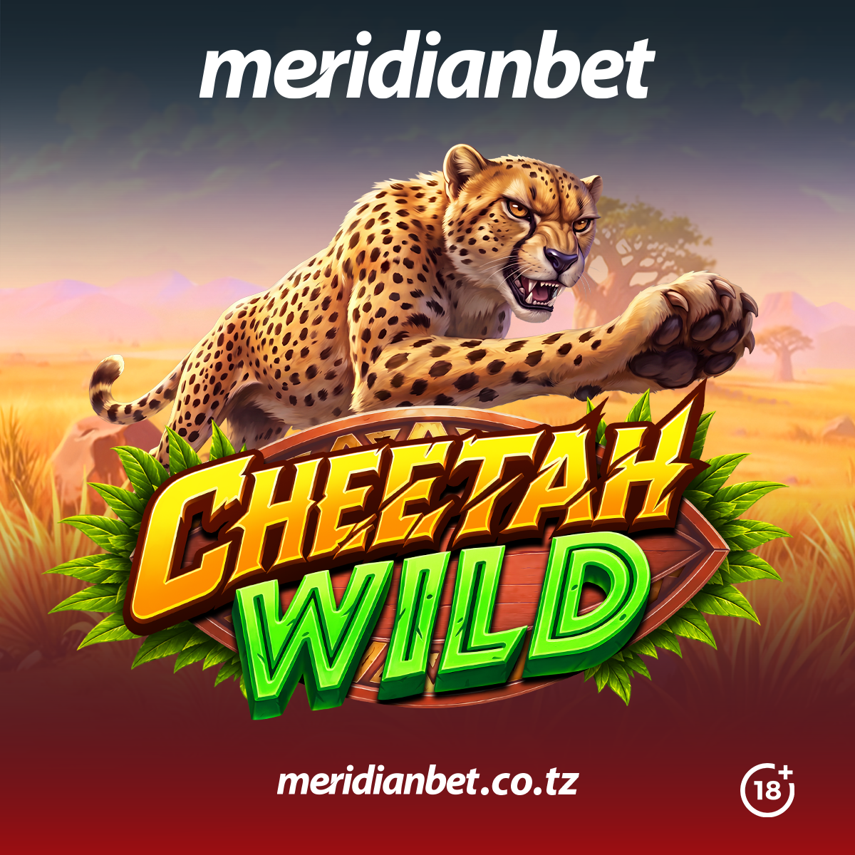 Cheetah Wild Meridianbet