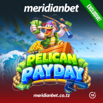 Pelican Payday Meridianbet