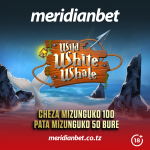 Wild White Whale Meridianbet