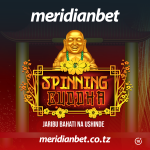 Spinning Buddha Meridianbet