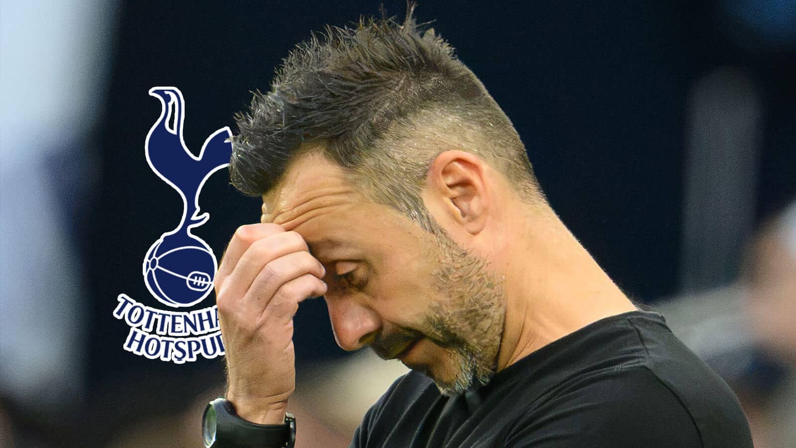 De Zerbi Tottenham