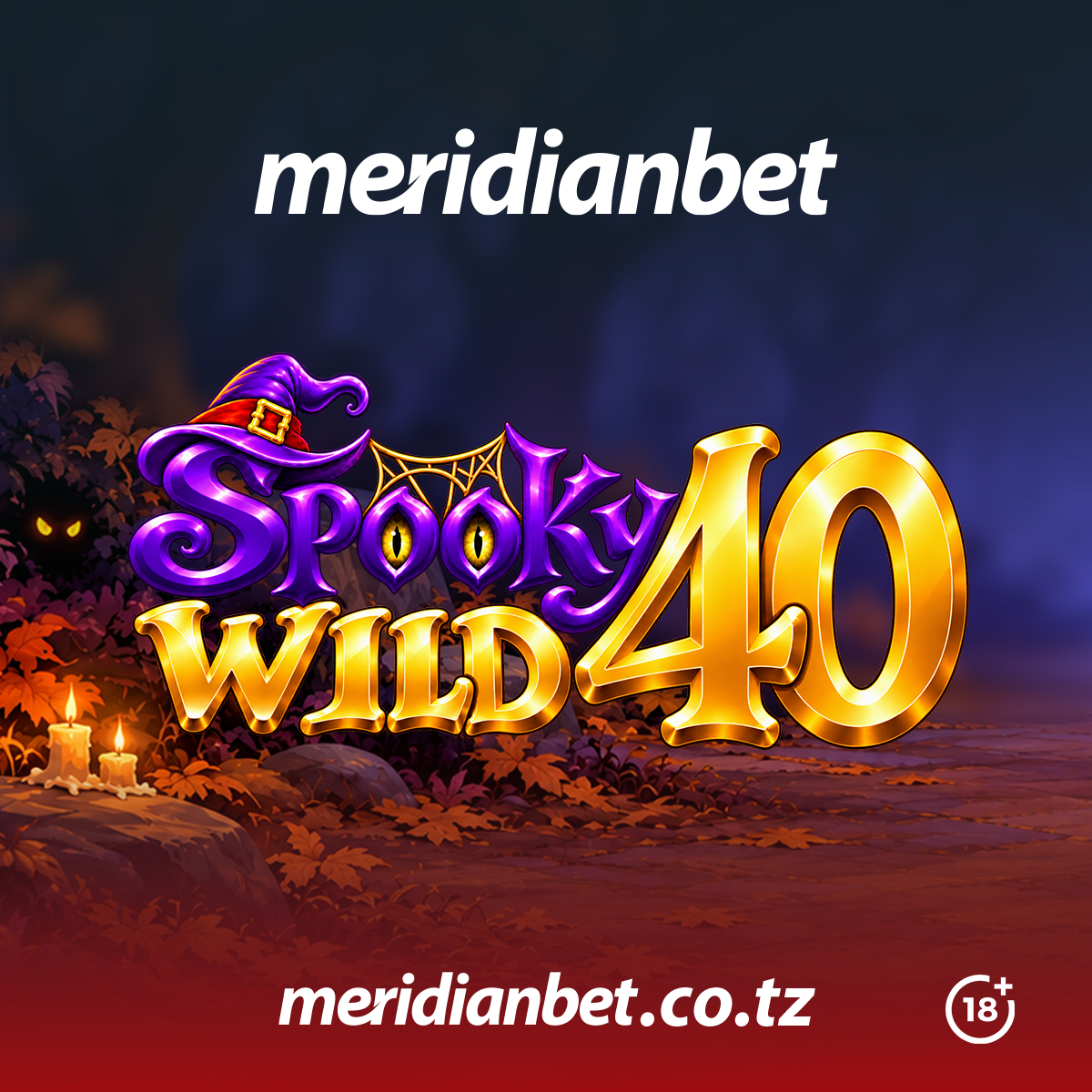 Spooky Wild 40