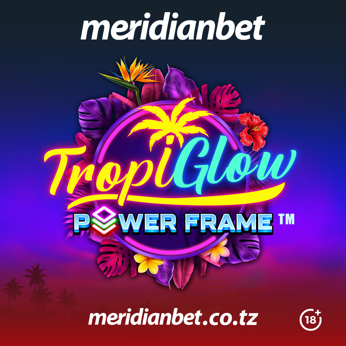 Tropiglow Power Frame Meridianbet